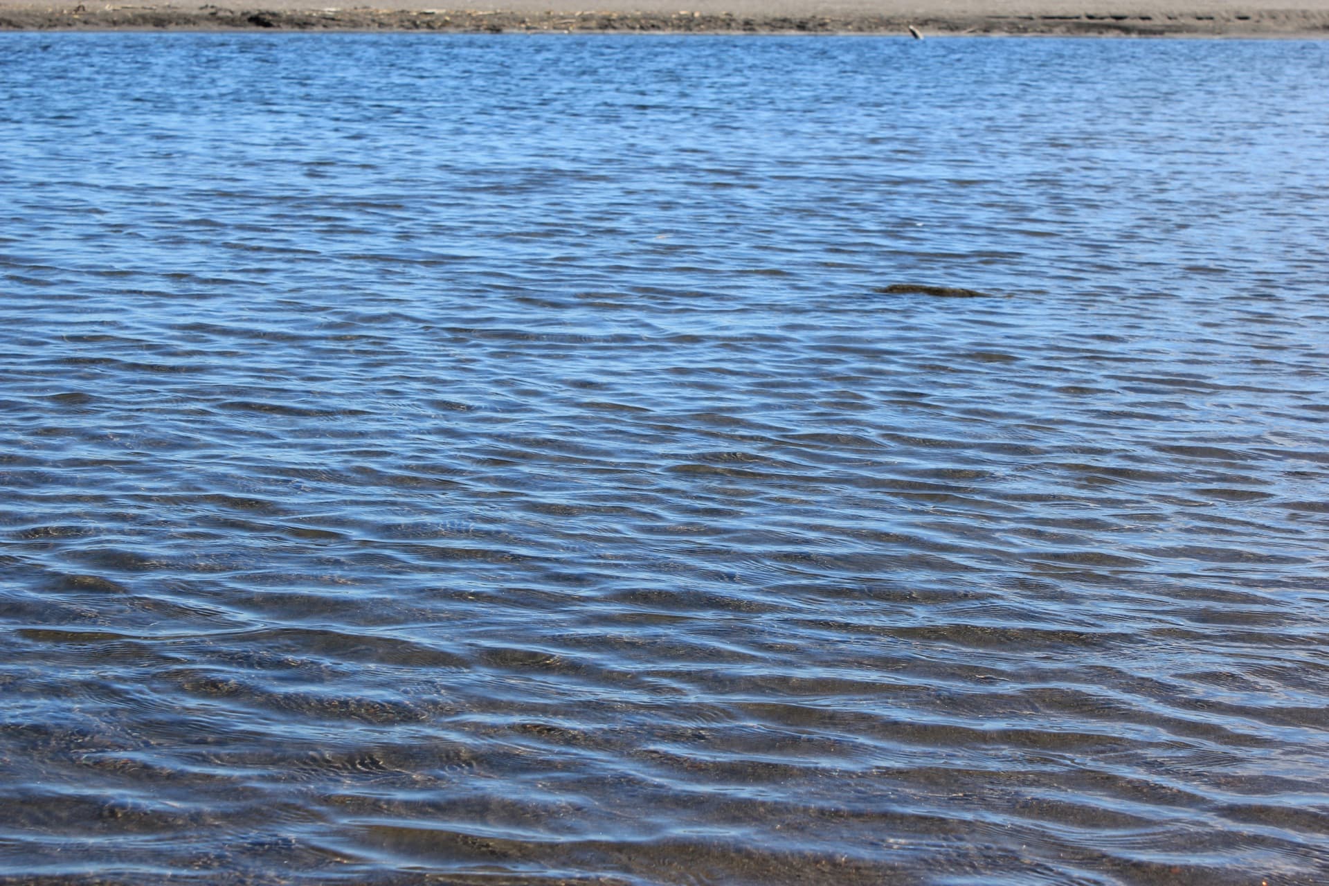 Calm water ripples reflecting light on the Taranaki coast