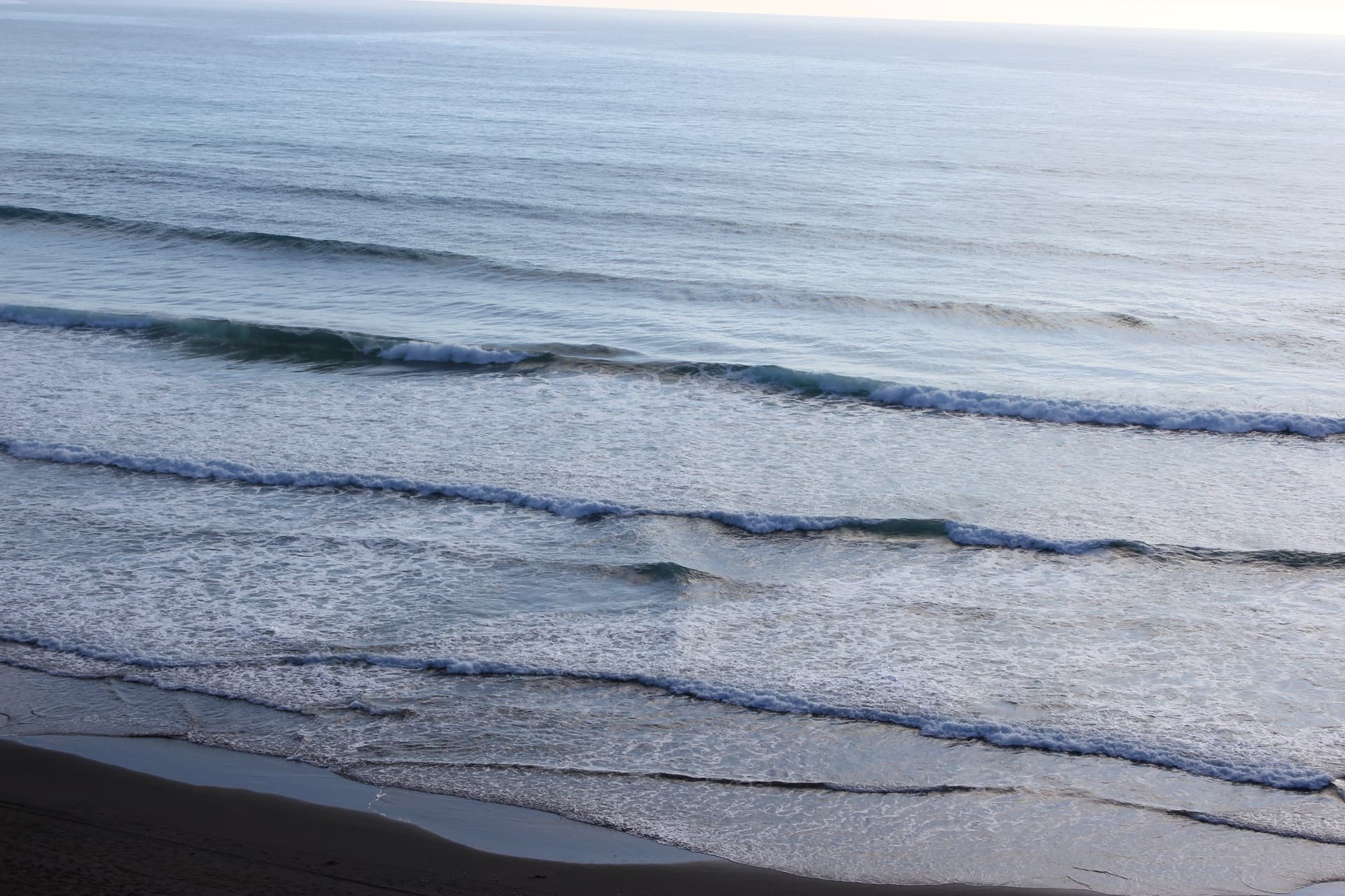 Taranaki coastline with native vegetation and open ocean